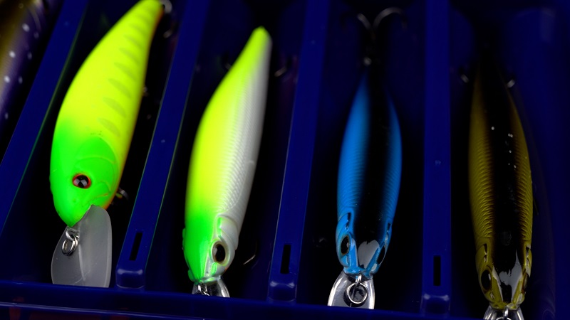 Особая форма