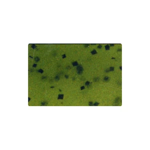 Силикон Reins Fat G-Tail Grub 4" 001 watermelon seed