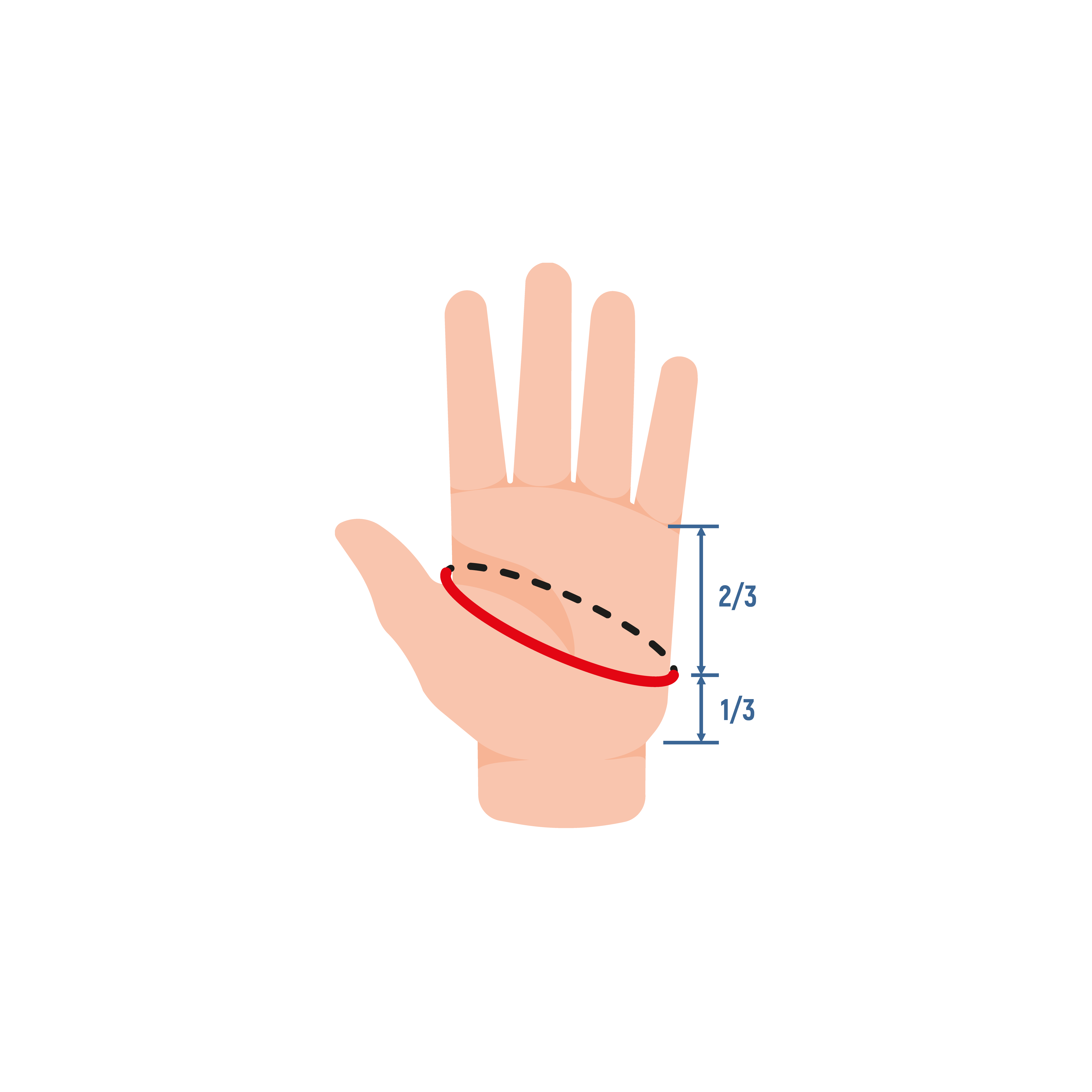 Перчатки GC Titanium 3 Cut Fingertip TR-301 - Фото №1