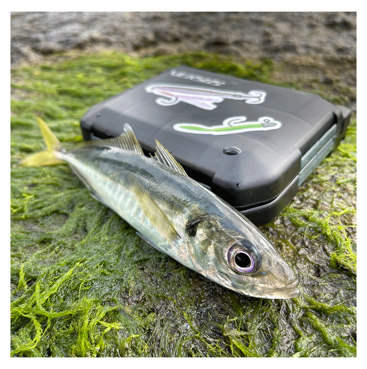 Набор наклеек GCxVA - Фото №4